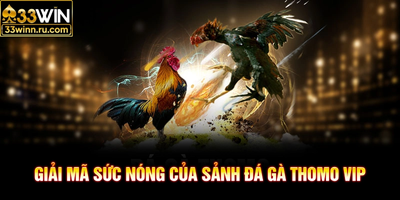 Giải mã sức nóng của sảnh đá gà thomo Vip